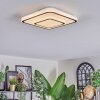 Borin Plafondlamp LED Grijs, Wit, 1-licht