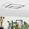 Borin Plafondlamp LED Grijs, Wit, 1-licht