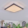 Castasegna Plafondlamp, Paneel LED Zwart, Wit, 1-licht