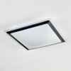 Castasegna Plafondlamp, Paneel LED Zwart, Wit, 1-licht