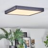 Finsrud Plafondlamp, Paneel LED Zwart, 1-licht