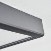 Finsrud Plafondlamp, Paneel LED Zwart, 1-licht