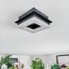 Walon Plafondlamp LED Zwart, 1-licht