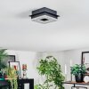 Walon Plafondlamp LED Zwart, 1-licht