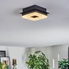 Walon Plafondlamp LED Zwart, 1-licht