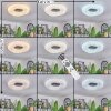Zuril Plafondlamp LED Wit, 1-licht, Afstandsbediening