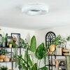 Zuril Plafondlamp LED Wit, 1-licht, Afstandsbediening