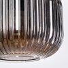 Trion Hanglamp, Hanglamp Zwart, 1-licht