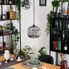 Trion Hanglamp, Hanglamp Zwart, 1-licht