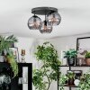 Koyoto Plafondlamp, Kogellampje Rookkleurig, 3-lichts