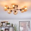 Gastor Plafondlamp, Kogellampje Amber, Duidelijk, 6-lichts