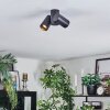 Daril Plafondlamp, Plafondspot Zwart, 2-lichts