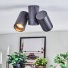Daril Plafondlamp, Plafondspot Zwart, 2-lichts