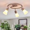 Mirlo Plafondlamp, Plafondspot Chroom, Nikkel mat, 3-lichts