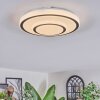 Borin Plafondlamp LED Grijs, Wit, 1-licht
