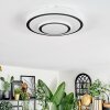 Borin Plafondlamp LED Grijs, Wit, 1-licht