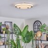 Borin Plafondlamp LED Grijs, Wit, 1-licht
