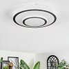 Borin Plafondlamp LED Grijs, Wit, 1-licht