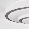 Borin Plafondlamp LED Grijs, Wit, 1-licht