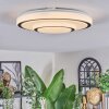 Borin Plafondlamp LED Grijs, Wit, 1-licht
