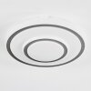 Borin Plafondlamp LED Grijs, Wit, 1-licht