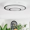 Borin Plafondlamp LED Grijs, Wit, 1-licht