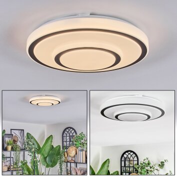 Borin Plafondlamp LED Grijs, Wit, 1-licht