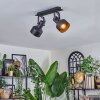 Tylar Plafondlamp, Plafondspot Zwart, 2-lichts