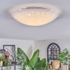 Ferli Plafondlamp LED Wit, 1-licht