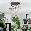 Gastor Plafondlamp, Kogellampje Amber, Duidelijk, Rookkleurig, 3-lichts