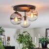 Gastor Plafondlamp, Kogellampje Amber, Duidelijk, Rookkleurig, 3-lichts