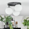 Gastor Plafondlamp, Kogellampje Wit, 3-lichts