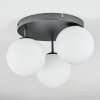 Gastor Plafondlamp, Kogellampje Wit, 3-lichts