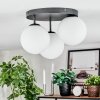 Gastor Plafondlamp, Kogellampje Wit, 3-lichts