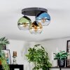 Koyoto Plafondlamp, Kogellampje 30 cm Blauw, Goud, Groen, Duidelijk, 3-lichts