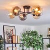 Koyoto Plafondlamp, Kogellampje Amber, Duidelijk, Rookkleurig, 6-lichts