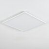 Zuren Plafondlamp, Paneel LED Wit, 1-licht, Kleurwisselaar