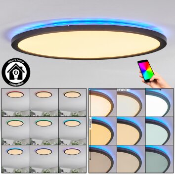 Zuren Plafondlamp, Paneel LED Zwart, 1-licht, Kleurwisselaar