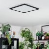 Zuren Plafondlamp, Paneel LED Zwart, 1-licht, Kleurwisselaar