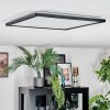 Zuren Plafondlamp, Paneel LED Zwart, 1-licht, Kleurwisselaar