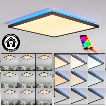 Zuren Plafondlamp, Paneel LED Zwart, 1-licht, Kleurwisselaar