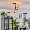 Koyoto Plafondlamp, Kogellampje 31 cm Amber, Duidelijk, Rookkleurig, 4-lichts