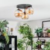 Koyoto Plafondlamp, Kogellampje Amber, 3-lichts