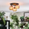 Koyoto Plafondlamp, Kogellampje Amber, 3-lichts