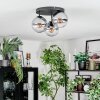 Koyoto Plafondlamp, Kogellampje Duidelijk, Rookkleurig, 3-lichts