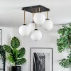 Gastor Plafondlamp, Kogellampje Goud, Zwart, 5-lichts