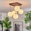 Gastor Plafondlamp, Kogellampje Goud, Zwart, 5-lichts