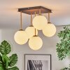Gastor Plafondlamp, Kogellampje Goud, Zwart, 5-lichts