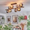 Koyoto Plafondlamp, Kogellampje Goud, Zwart, 8-lichts