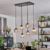 Ripoll Hanglamp, Kogellampje, Hanglamp Amber, Duidelijk, Rookkleurig, 6-lichts
